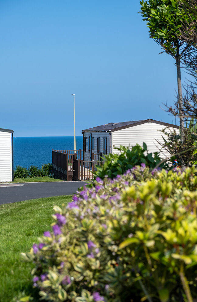 Lizard Lane Holiday Park Meridian Parks