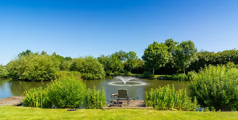 wooden bench in front of the lake
